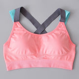 TP Sports Bra